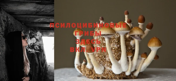 винт Арсеньев