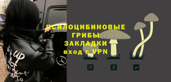винт Арсеньев