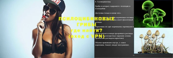 винт Арсеньев