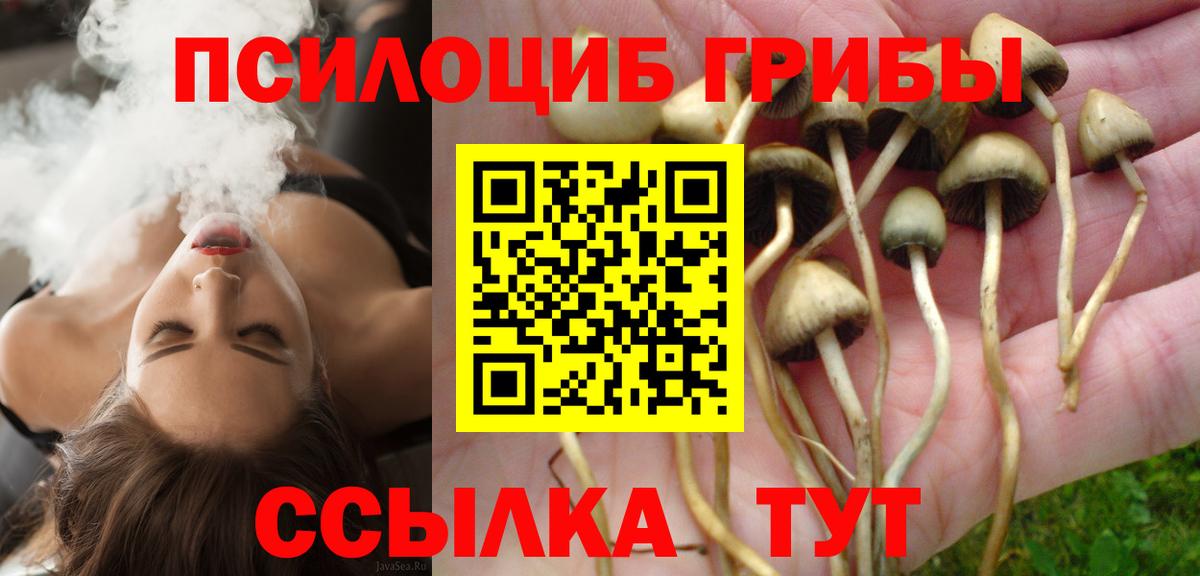 Псилоцибиновые грибы Psilocybine cubensis Коммунар