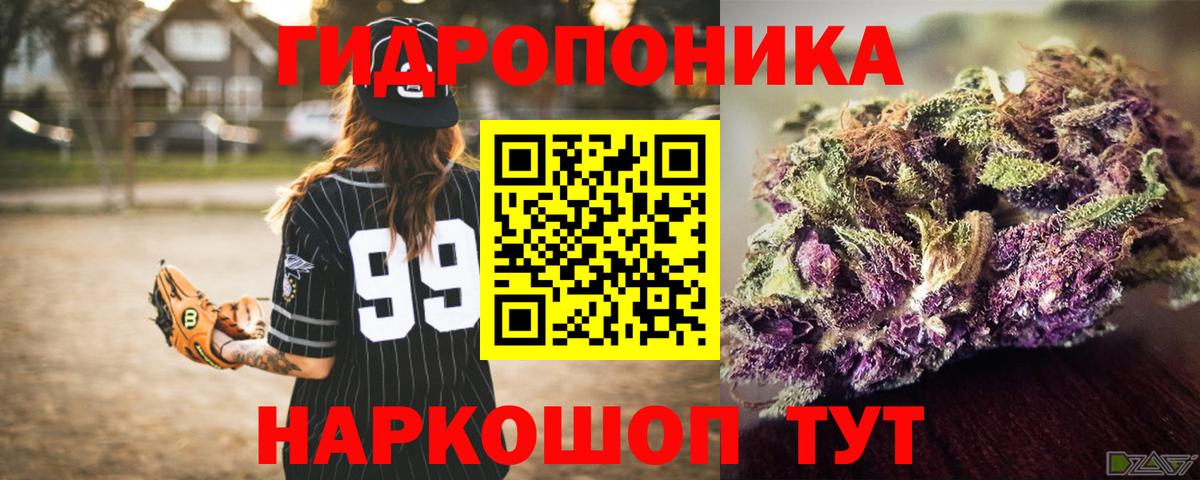 Каннабис сатива Коммунар